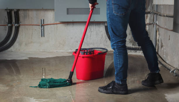 Best Mold removal after water damage  in Hazen, ND
