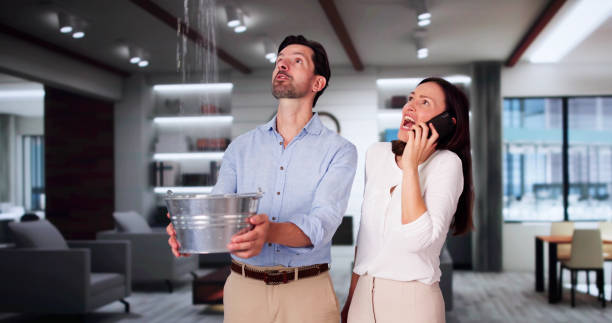 Best Carpet water damage restoration  in Hazen, ND